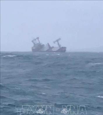 Un navire battant pavillon panaméen coulé à Binh Thuan, 11 personnes secourues ảnh 1