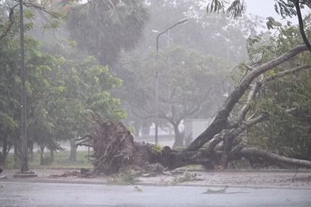 Tempête Noul : un mort, des dizaines de blessés au Centre ảnh 1 Tempête Noul : un mort, des dizaines de blessés au Centre ảnh 1