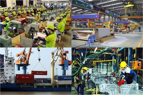 Le secteur privé, moteur de l’économie nationale ảnh 1 Le secteur privé, moteur de l’économie nationale ảnh 1