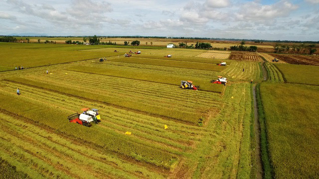Agriculture : le Vietnam ambitionne de figurer parmi les 15 pays les plus développés du monde ảnh 1 Agriculture : le Vietnam ambitionne de figurer parmi les 15 pays les plus développés du monde ảnh 1
