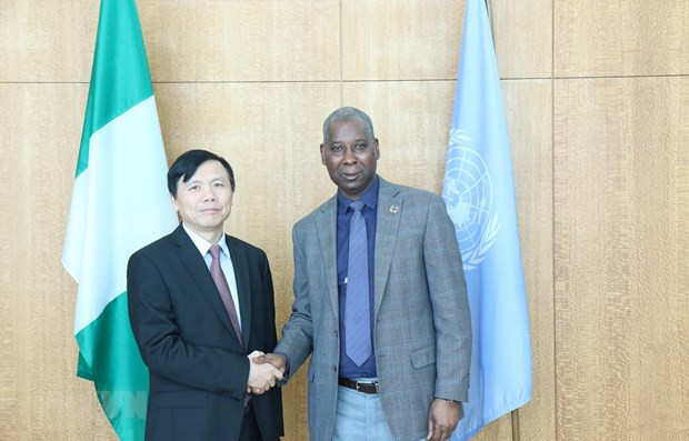 L'ambassadeur vietnamien Dang Dinh Quy discute de l'amélioration des opérations de l'ONU ảnh 1 L'ambassadeur vietnamien Dang Dinh Quy discute de l'amélioration des opérations de l'ONU ảnh 1