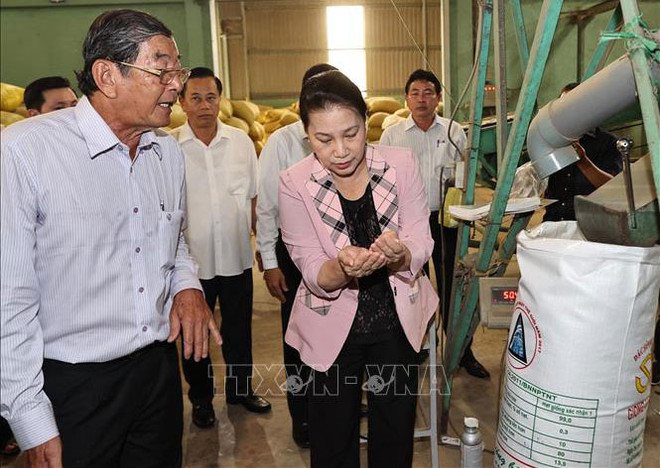 La présidente de l’AN en tournée de travail à Soc Trang ảnh 1 La présidente de l’AN en tournée de travail à Soc Trang ảnh 1