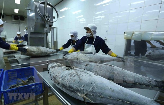 Le commerce vietnamo-israélien atteint 649,4 M de dollars en cinq mois ảnh 1 Le commerce vietnamo-israélien atteint 649,4 M de dollars en cinq mois ảnh 1