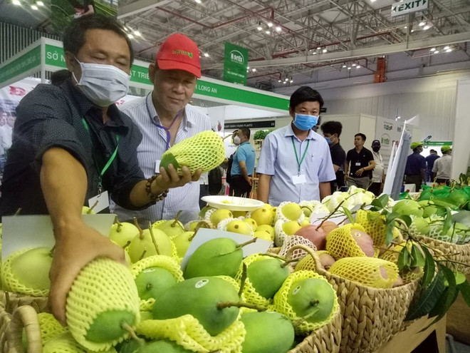 Diversification des marchés à l’export des fruits et légumes ảnh 1 Diversification des marchés à l’export des fruits et légumes ảnh 1