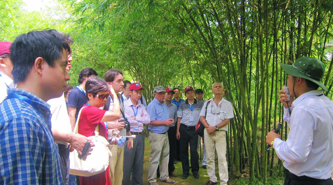 Coronavirus : Quang Tri et Vinh Phuc renforcent les mesures préventives ảnh 1 Coronavirus : Quang Tri et Vinh Phuc renforcent les mesures préventives ảnh 1
