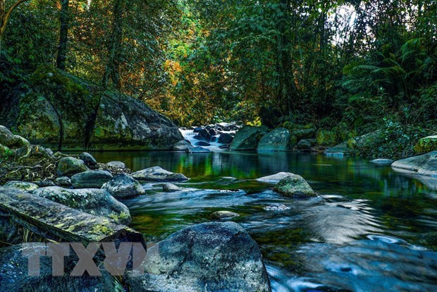 Dak Nong définira-t-elle de nouvelles valeurs touristiques au Vietnam ? ảnh 4 Dak Nong définira-t-elle de nouvelles valeurs touristiques au Vietnam ? ảnh 4