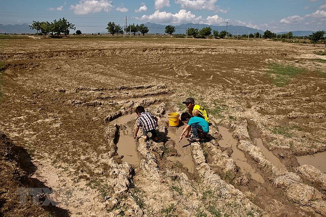 La Banque mondiale assiste le Vietnam dans la résilence au changement climatique ảnh 1 La Banque mondiale assiste le Vietnam dans la résilence au changement climatique ảnh 1