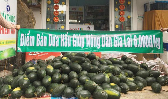 COVID-19 : la R de Corée soutient la consommation des produits agricoles vietnamiens ảnh 1 COVID-19 : la R de Corée soutient la consommation des produits agricoles vietnamiens ảnh 1