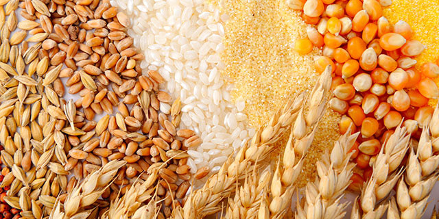 Le Cambodge pourra exporter 5 millions de tonnes de produits agricoles cette année ảnh 1 Le Cambodge pourra exporter 5 millions de tonnes de produits agricoles cette année ảnh 1