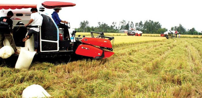 Le Vietnam envisage une croissance moyenne de 7% de son PIB durant la période 2021-2025 ảnh 1 Le Vietnam envisage une croissance moyenne de 7% de son PIB durant la période 2021-2025 ảnh 1