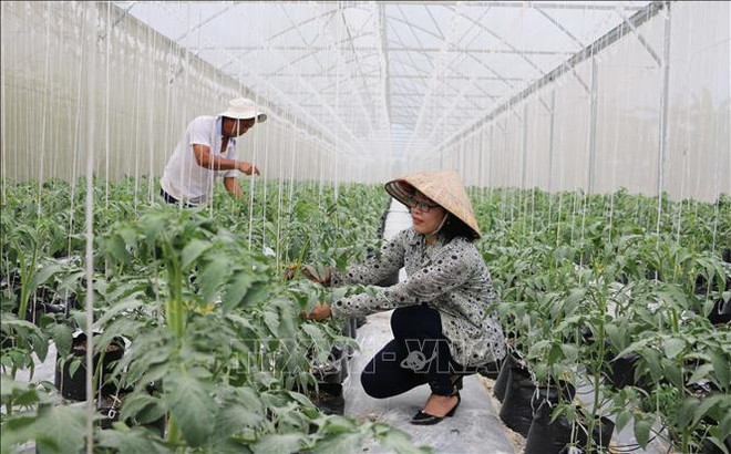 Le développement scientifique et technologique au service de l’œuvre d’industrialisation ảnh 1 Le développement scientifique et technologique au service de l’œuvre d’industrialisation ảnh 1