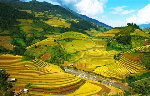 Multiples activités pour la relance du tourisme ảnh 1 Multiples activités pour la relance du tourisme ảnh 1