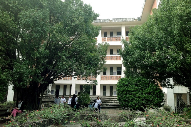 Francophonie: À Hanoi, des goûts et des couleurs culturelles ảnh 4 Francophonie: À Hanoi, des goûts et des couleurs culturelles ảnh 4