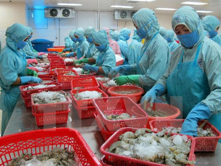 Le Vietnam table sur 10 mds de dollars d’exportations de crevettes ảnh 1 Le Vietnam table sur 10 mds de dollars d’exportations de crevettes ảnh 1