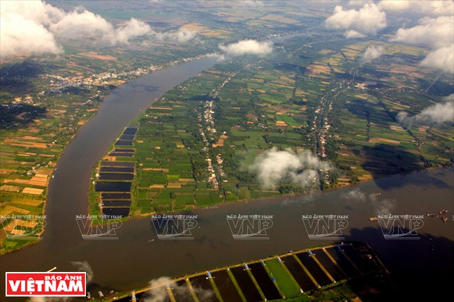 Les experts appellent à économiser l’eau agricole dans le delta du Mékong ảnh 1