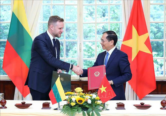 Vietnam-Lituanie: entretien entre les deux ministres des Affaires étrangères ảnh 1 Vietnam-Lituanie: entretien entre les deux ministres des Affaires étrangères ảnh 1