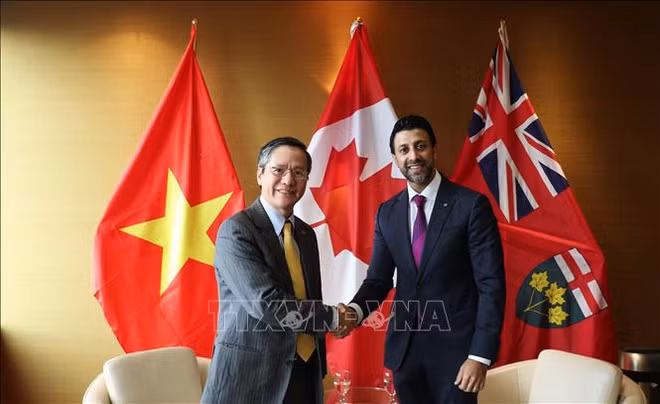 Le Vietnam, partenaire important du Canada au sein de l’ASEAN ảnh 1