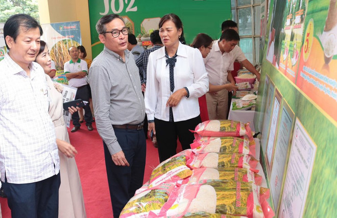 Hanoi se concentre sur la création d'une marque pour le riz ảnh 1 Hanoi se concentre sur la création d'une marque pour le riz ảnh 1