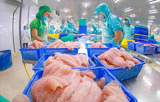 Les exportations agricoles devraient atteindre l'objectif fixé ảnh 1 Les exportations agricoles devraient atteindre l'objectif fixé ảnh 1