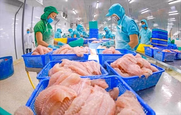 Les exportations agricoles devraient atteindre l'objectif fixé ảnh 1