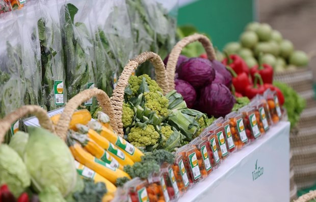 L’IPC en septembre en hausse légère de 0,112% par rapport à août ảnh 1