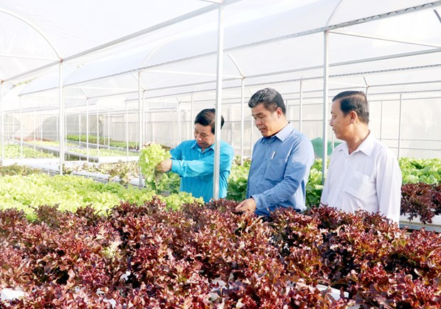 L'île de Phu Quoc développe une agriculture écologique liée au tourisme ảnh 1 L'île de Phu Quoc développe une agriculture écologique liée au tourisme ảnh 1