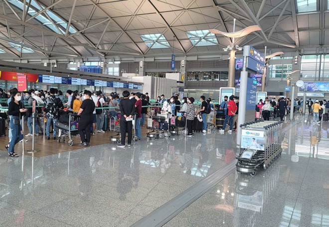 COVID-19 : Plus de 250 Vietnamiens rapatriés de République de Corée ảnh 1 COVID-19 : Plus de 250 Vietnamiens rapatriés de République de Corée ảnh 1