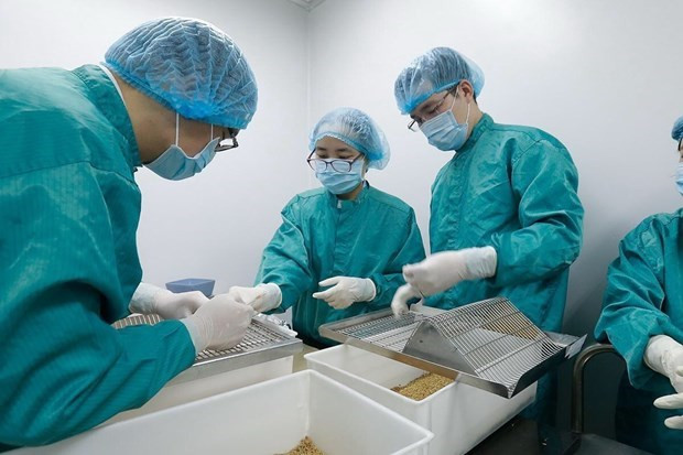 COVID-19 : Aucun nouveau cas de transmission locale depuis 75 jours ảnh 1 COVID-19 : Aucun nouveau cas de transmission locale depuis 75 jours ảnh 1