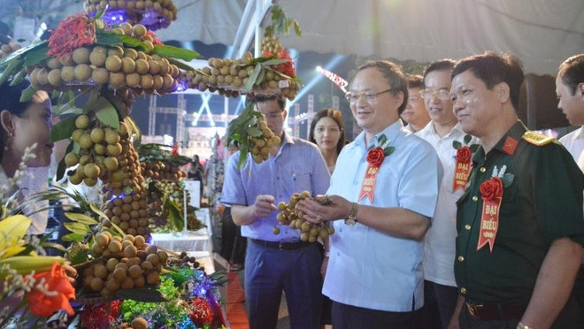 Ouverture de la Fête des longanes de Hung Yen 2020 ảnh 1 Ouverture de la Fête des longanes de Hung Yen 2020 ảnh 1