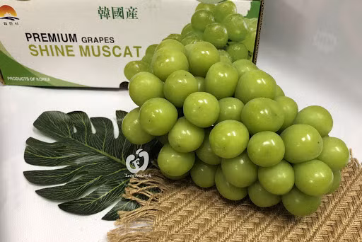 Le Vietnam est le plus grand marché d'importation de raisins sud-coréens ảnh 1