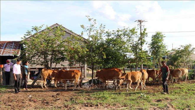 Le Vietnam fixe 17 objectifs de développement durable à l'horizon 2030 ảnh 1 Le Vietnam fixe 17 objectifs de développement durable à l'horizon 2030 ảnh 1