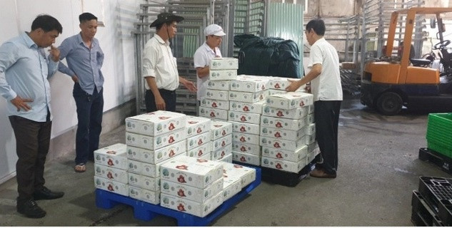 Les premiers lots de litchis vietnamiens arrivent au Japon ảnh 1 Les premiers lots de litchis vietnamiens arrivent au Japon ảnh 1