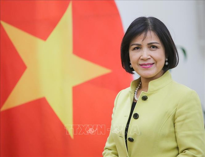 Le Vietnam préside la réunion du Conseil de coordination de l'ASEAN sur les travaux de l'OMC ảnh 1 Le Vietnam préside la réunion du Conseil de coordination de l'ASEAN sur les travaux de l'OMC ảnh 1