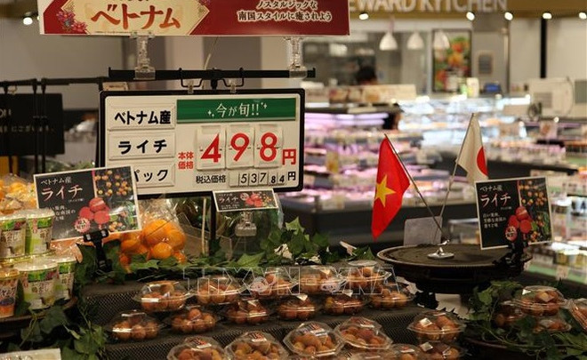 Les produits agroalimentaires vietnamiens se vendent bien au Japon ảnh 1 Les produits agroalimentaires vietnamiens se vendent bien au Japon ảnh 1