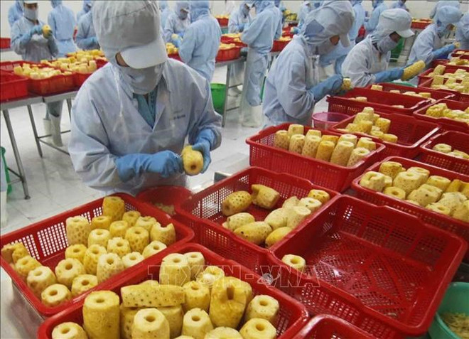 Les produits agroalimentaires vietnamiens se vendent bien au Japon ảnh 2 Les produits agroalimentaires vietnamiens se vendent bien au Japon ảnh 2