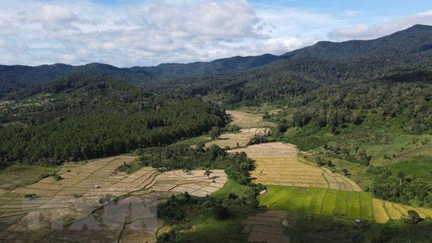 Gia Lai préserve et met en valeur la Réserve mondiale de biosphère de Kon Ha Nung ảnh 1 Gia Lai préserve et met en valeur la Réserve mondiale de biosphère de Kon Ha Nung ảnh 1