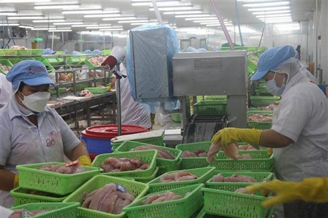 Des ouvriers motivés reprennent tôt le travail dans le Sud ảnh 1 Des ouvriers motivés reprennent tôt le travail dans le Sud ảnh 1