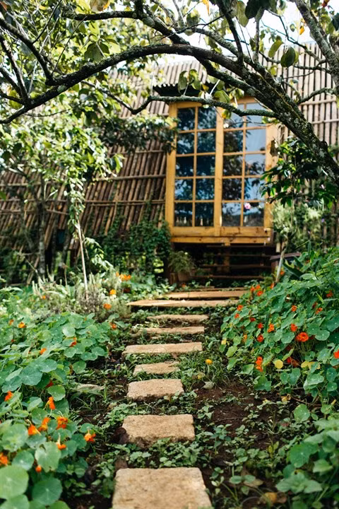 Huynh Hai Yên, une grande parfumeuse vietnamienne ảnh 2