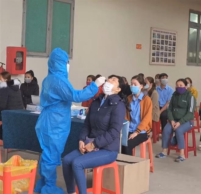 COVID-19: plus de 26.000 nouveaux cas en 24 heures ảnh 1