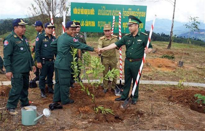 Plantation d’arbres au carrefour des frontières Vietnam - Laos - Cambodge ảnh 1 Plantation d’arbres au carrefour des frontières Vietnam - Laos - Cambodge ảnh 1
