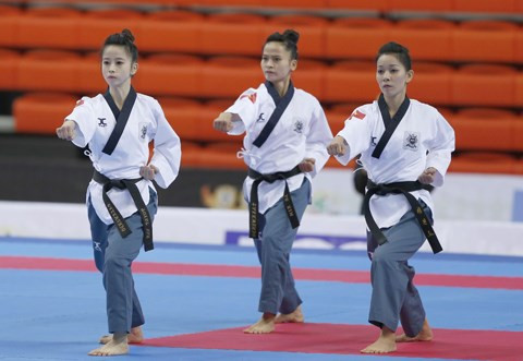 Ouverture des tournois de taekwondo d'Asie à Ho Chi Minh-Ville ảnh 1