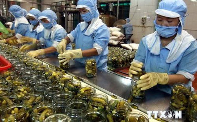 Promouvoir les exportations de produits agroalimentaires du Vietnam vers l'Afrique et le Moyen-Orient ảnh 1
