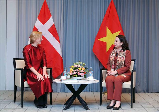 La vice-présidente Vo Thi Anh Xuan rencontre la présidente de l'Association d'amitié Danemark-Vietnam ảnh 1 La vice-présidente Vo Thi Anh Xuan rencontre la présidente de l'Association d'amitié Danemark-Vietnam ảnh 1