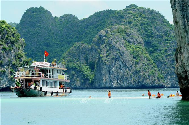 Pour faire de la baie d'Ha Long une destination verdoyante, propre et magnifique ảnh 1