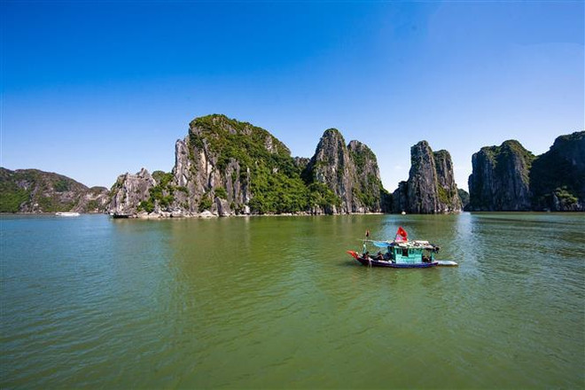 Pour faire de la baie d'Ha Long une destination verdoyante, propre et magnifique ảnh 2