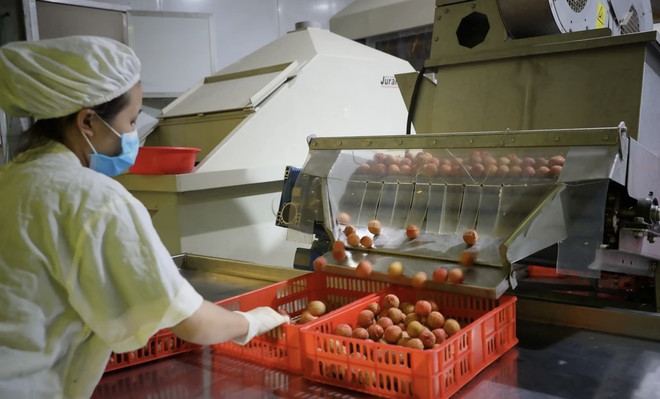 De nombreuses opportunités pour promouvoir la coopération commerciale Vietnam-Japon ảnh 1 De nombreuses opportunités pour promouvoir la coopération commerciale Vietnam-Japon ảnh 1