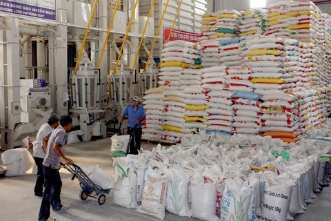 Des pistes pour booster les exportations de riz du Vietnam ảnh 2 Des pistes pour booster les exportations de riz du Vietnam ảnh 2