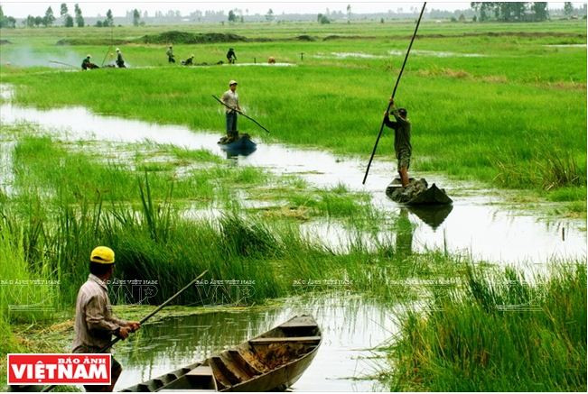 La Plaine des joncs relève le défi de l’agriculture durable ảnh 2 La Plaine des joncs relève le défi de l’agriculture durable ảnh 2