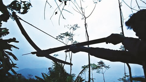 Chasse printanière, une vieille coutume villageoise des Thai ảnh 1