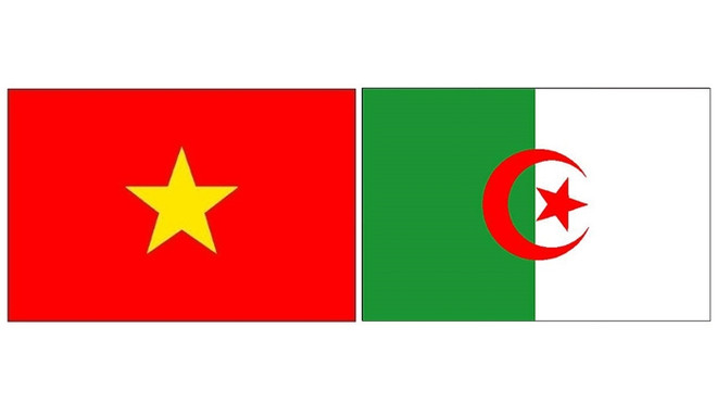Vietnam - Algérie: Pour une coopération renforcée ảnh 1